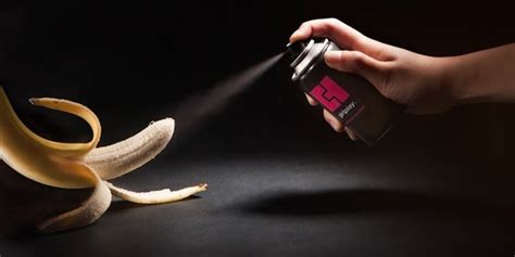 Blowjob without Condom Erotic massage Trnava